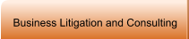 Business Litigation and Consulting