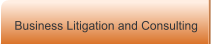 Business Litigation and Consulting