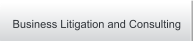 Business Litigation and Consulting
