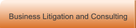 Business Litigation and Consulting