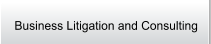 Business Litigation and Consulting